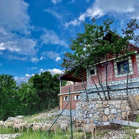 Mountain Village House Cetinje Buitenkant foto