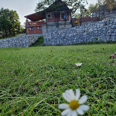Mountain Village House Cetinje Buitenkant foto