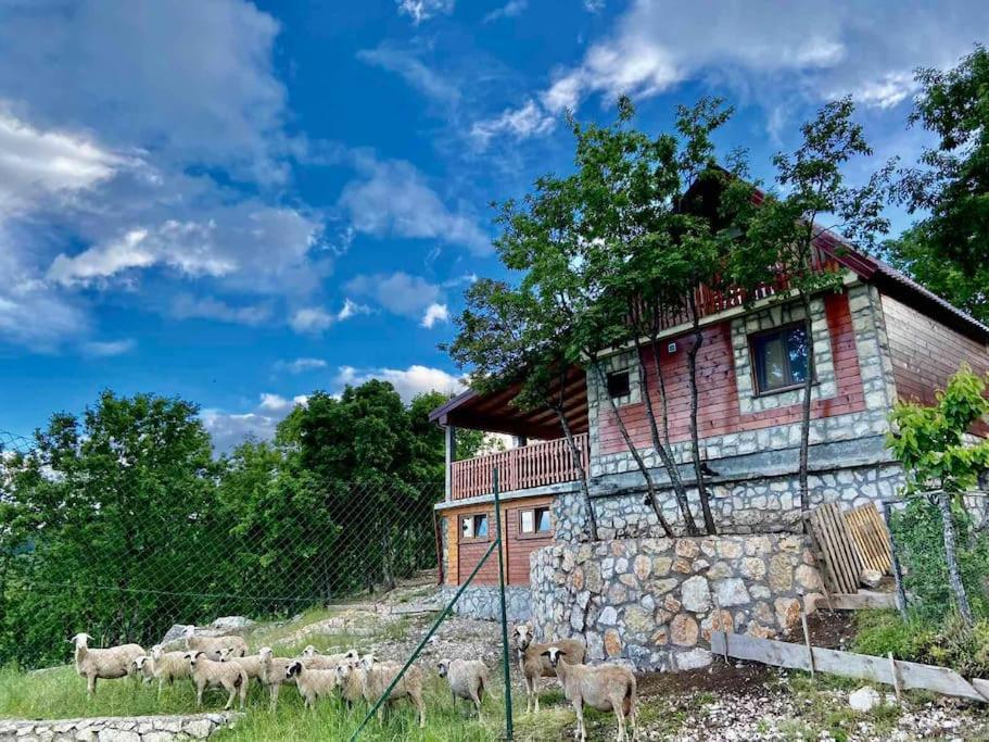 Mountain Village House Cetinje Buitenkant foto