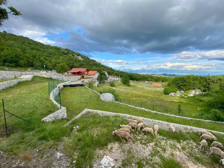 Mountain Village House Cetinje Buitenkant foto