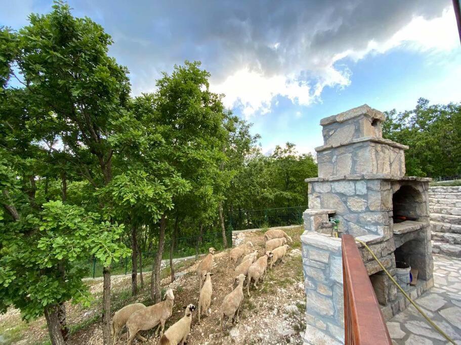 Mountain Village House Cetinje Buitenkant foto
