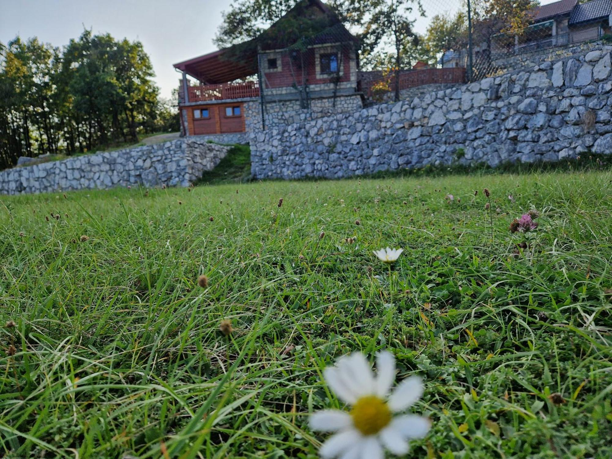 Mountain Village House Cetinje Buitenkant foto